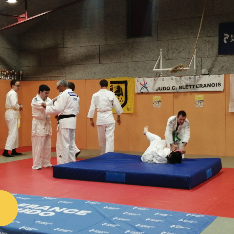 Judo adapté